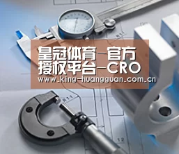 研发能力标题一